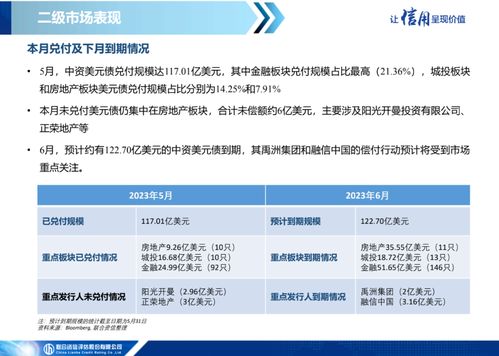 中資美元債市場信息月報（2023年5月） 一級市場發行繼續低迷，二級市場表現保持分化