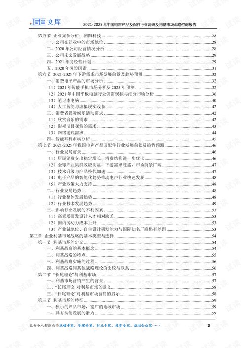 中國電聲產品及配件行業調研與利基市場戰略（2021-2025年）
