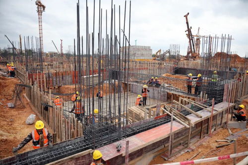 香雪制藥臨空經(jīng)濟區(qū)項目加足馬力全力推進項目建設